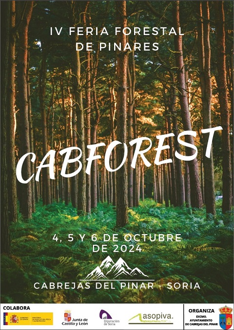 Cartel Segunda Feria forestal